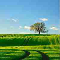 html5自​动‍播‍放﻿